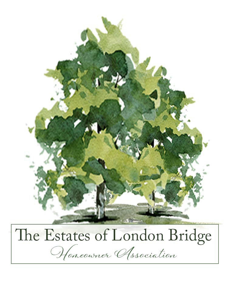 The Estates of London Bridge